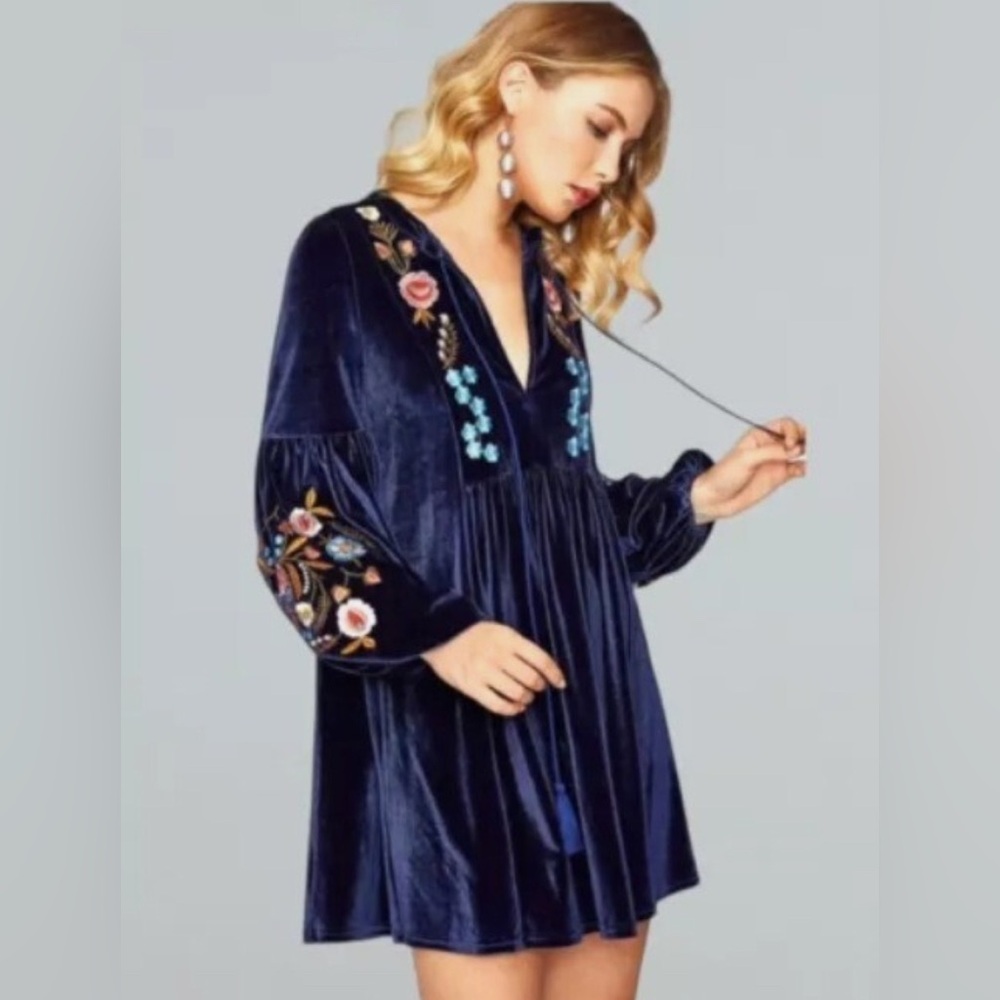 NWT Zara Velvet Embroidered Dress